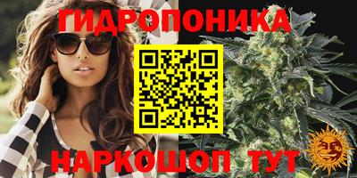 PSILOCYBIN Нарткала