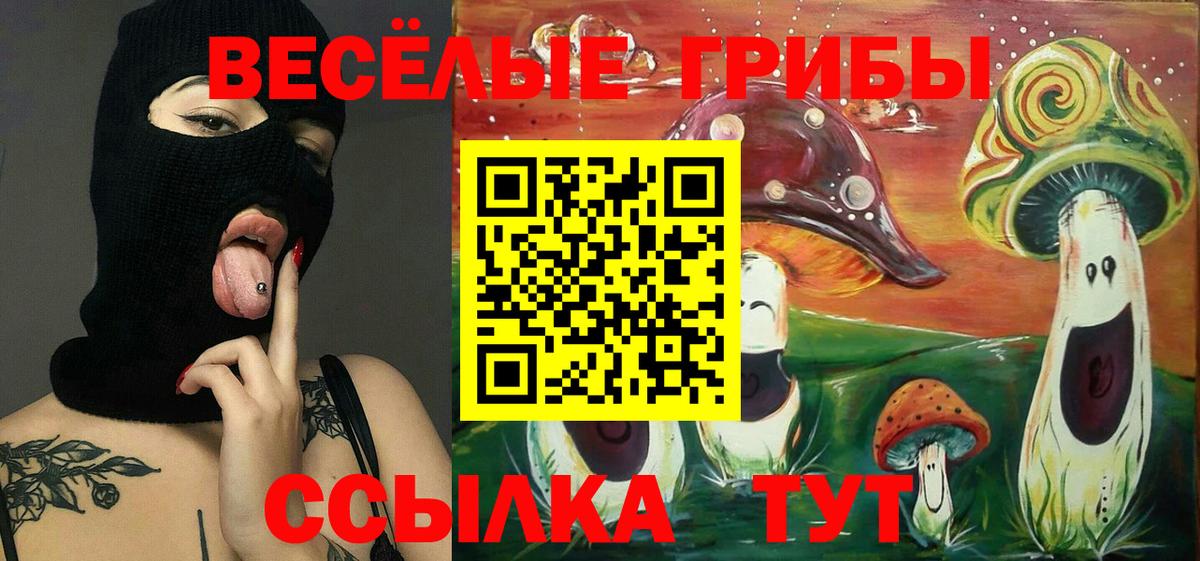 Сыктывкар  Псилоцибиновые грибы MAGIC MUSHROOMS  Вход с VPN  Галлюциногенные грибы GOLDEN TEACHER 